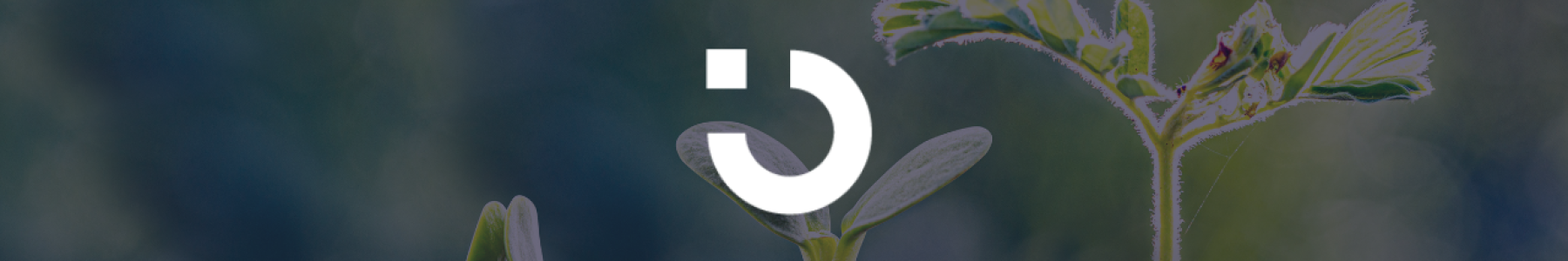 How to Find Message-Market Fit for B2B Outbound at Scale